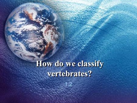 How do we classify vertebrates?