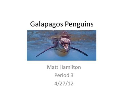 Matt Hamilton Period 3 4/27/12