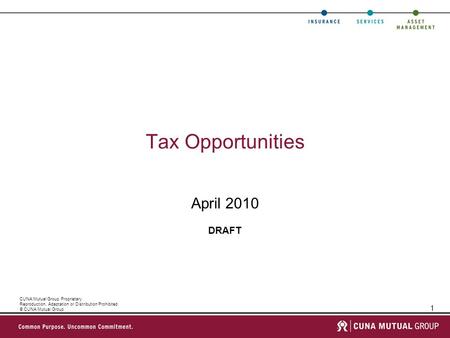 1 CUNA Mutual Group Proprietary Reproduction, Adaptation or Distribution Prohibited © CUNA Mutual Group Tax Opportunities April 2010 DRAFT.