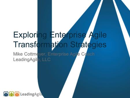 Exploring Enterprise Agile Transformation Strategies