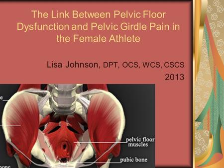 Lisa Johnson, DPT, OCS, WCS, CSCS 2013