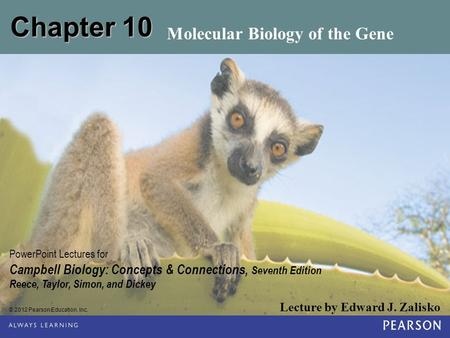 Molecular Biology of the Gene