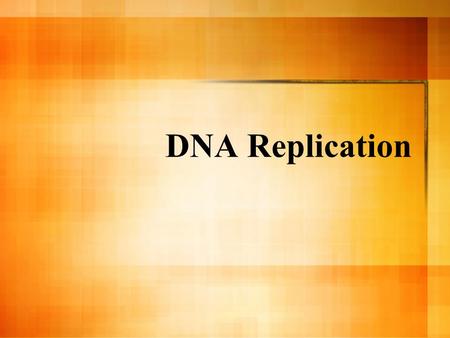 DNA Replication Ask why, when, and where they think replication occurs? Ask them to recall when copies are needed?