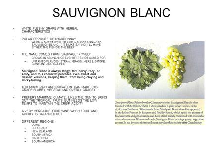 SAUVIGNON BLANC WHITE FLESHY GRAPE WITH HERBAL CHARACTERISTICS POLAR OPPOSITE OF CHARDONNAY –WHEN A GUEST SAYS ID LIKE A CHARDONNAY OR SAUVIGNON BLANC…