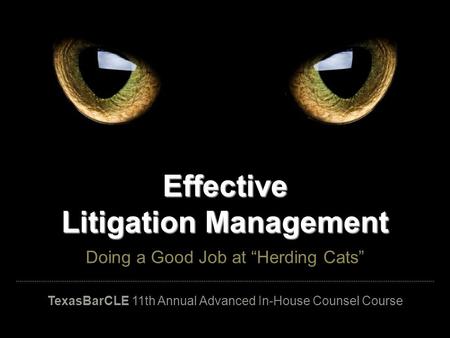 Effective Litigation Management