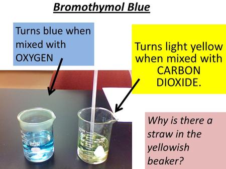 Turns light yellow when mixed with CARBON DIOXIDE.