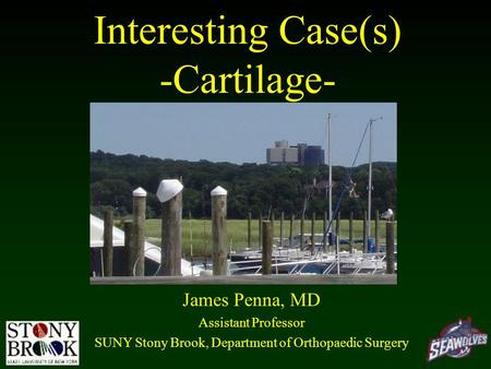 Interesting Case(s) -Cartilage-