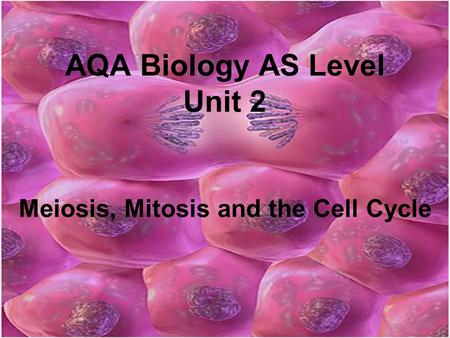 AQA Biology AS Level Unit 2