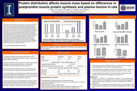 Theoretical Model for Maximal stimulations of muscle protein synthesis throughout the day in humans (adapted from reference 2). MPS responses at the breakfast.