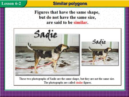 Lesson 6-2 Similar polygons.