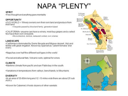 NAPA “PLENTY” SPIRIT Free thought and anything goes mentality