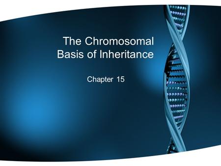 The Chromosomal Basis of Inheritance