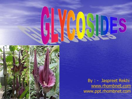 GLYCOSIDES By : - Jaspreet Rekhi www.rhombnet.com www.ppt.rhombnet.com.