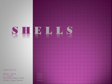 S H E L L S Submitted by: Rashiv Gupta 07628, L. Vishal 07630,