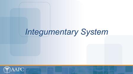 Integumentary System.