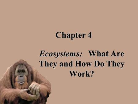 Ecosystems: What Are They and How Do They Work?