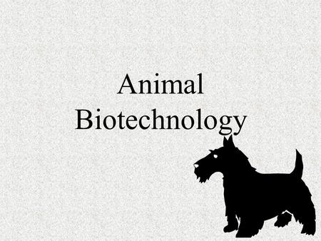 Animal Biotechnology.