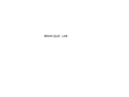 BRAIN QUIZ - LAB.