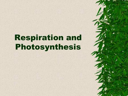 Respiration and Photosynthesis