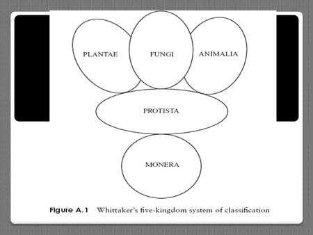 70s 80s Differences between Prokaryotic & Eukaryotic cells Bacterial cells also contain flagellum, plasmid and capsule. Feature Prokaryote Eukaryote.