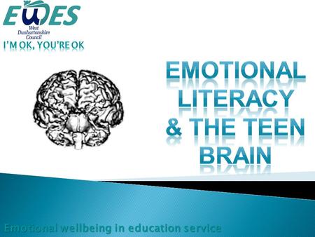 Adapted from H. Jenkins, EMOTSIA EI The ability to recognise, understand, appropriately express and effectively handle emotional states in ourselves.