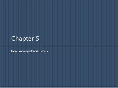 Chapter 5 How ecosystems work.