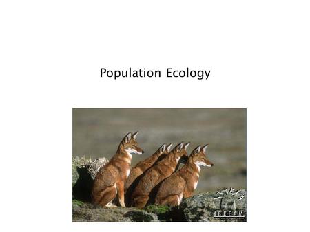 Population Ecology.