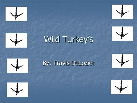 Wild Turkeys By: Travis DeLozier. Wild Turkey Trivia Turkeys can run up to speeds of 20 mph? Turkeys can run up to speeds of 20 mph? A young turkey is.