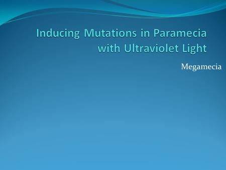 Megamecia. Introduction Model Organism Paramecium Tetraurelia Mutagen Ultraviolet Radiation.