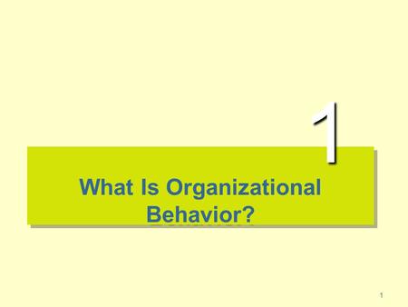 What Is Organizational Behavior?