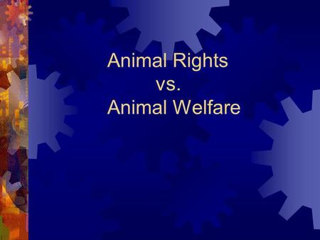 Animal Rights vs. Animal Welfare