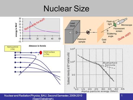 Nuclear Size Quite old!!! Not exactly for Au!!!