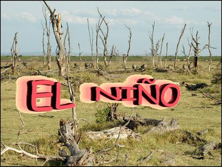 El Nino is a shift in ocean temperatures and atmospheric conditions in the tropical Pacific that disrupts weather around the world. It is a poorly understood.