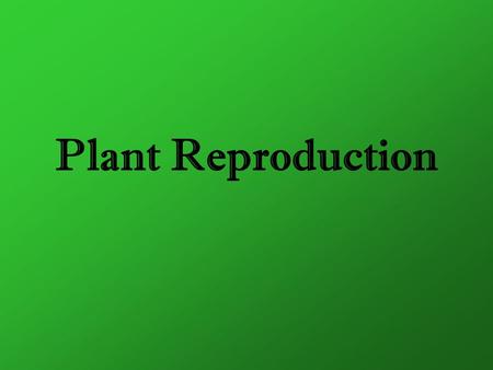 Plant Reproduction.