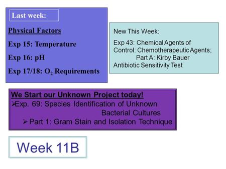 Physical Factors Exp 15: Temperature Exp 16: pH Exp 17/18: O 2 Requirements Week 11B Last week: We Start our Unknown Project today! Exp. 69: Species Identification.