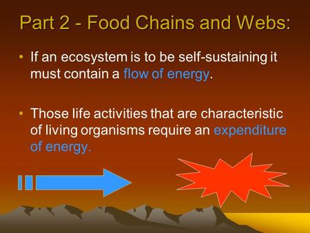 Part 2 - Food Chains and Webs: