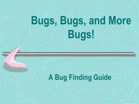 Bugs, Bugs, and More Bugs! A Bug Finding Guide.