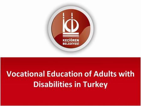 Vocational Education of Adults with Disabilities in Turkey