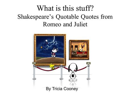 What is this stuff? Shakespeare’s Quotable Quotes from Romeo and Juliet By Tricia Cooney.