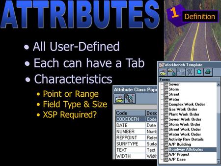 All User-Defined Point or Range Field Type & Size XSP Required? Each can have a Tab Characteristics 1 Definition.