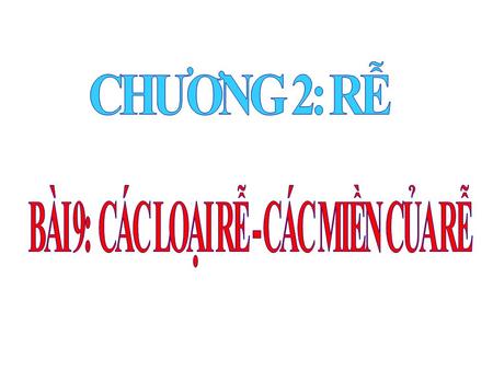 R Thân Lá Hoa Qu Ht Cơ quan sinh dưng Cơ quan sinh sn SƠ Đ CÂY CÓ HOA R: là cơ quan sinh dưng ca cây. Vai trò ca r: + Hút nưc và mui khoáng hòa tan +