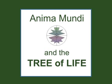 Anima Mundi and the TREE of LIFE. WATER EARTHAIR FIRE The ancient model called the Anima Mundi is made up of Four Elements.