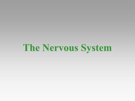 The Nervous System.