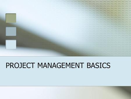 PROJECT MANAGEMENT BASICS