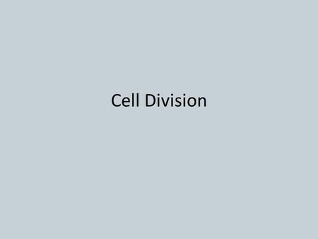 Cell Division.