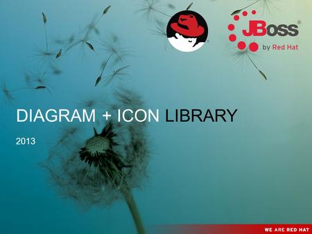 DIAGRAM + ICON LIBRARY 2013.