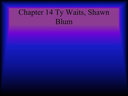 Chapter 14 Ty Waits, Shawn Blum. Weights We think it is candy Archeologists think that they might have used these weights to measure grains and money.