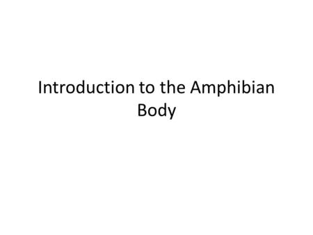 Introduction to the Amphibian Body