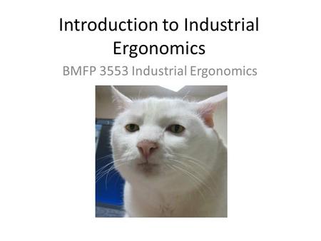 Introduction to Industrial Ergonomics