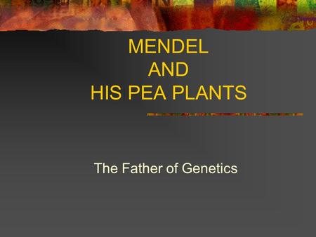 MENDEL AND HIS PEA PLANTS